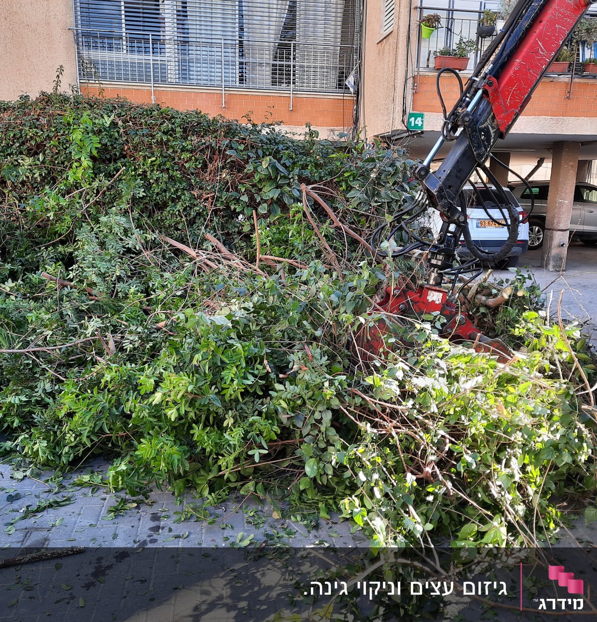 מנוף מרים ערימת גזם וענפים ברחוב